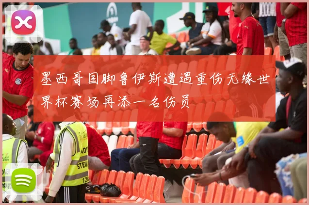 墨西哥国脚鲁伊斯遭遇重伤无缘世界杯赛场再添一名伤员