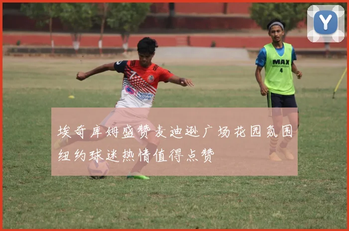 埃奇库姆盛赞麦迪逊广场花园氛围纽约球迷热情值得点赞