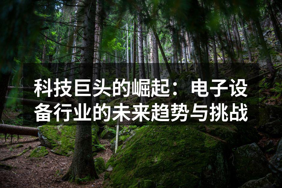 科技巨头的崛起：电子设备行业的未来趋势与挑战